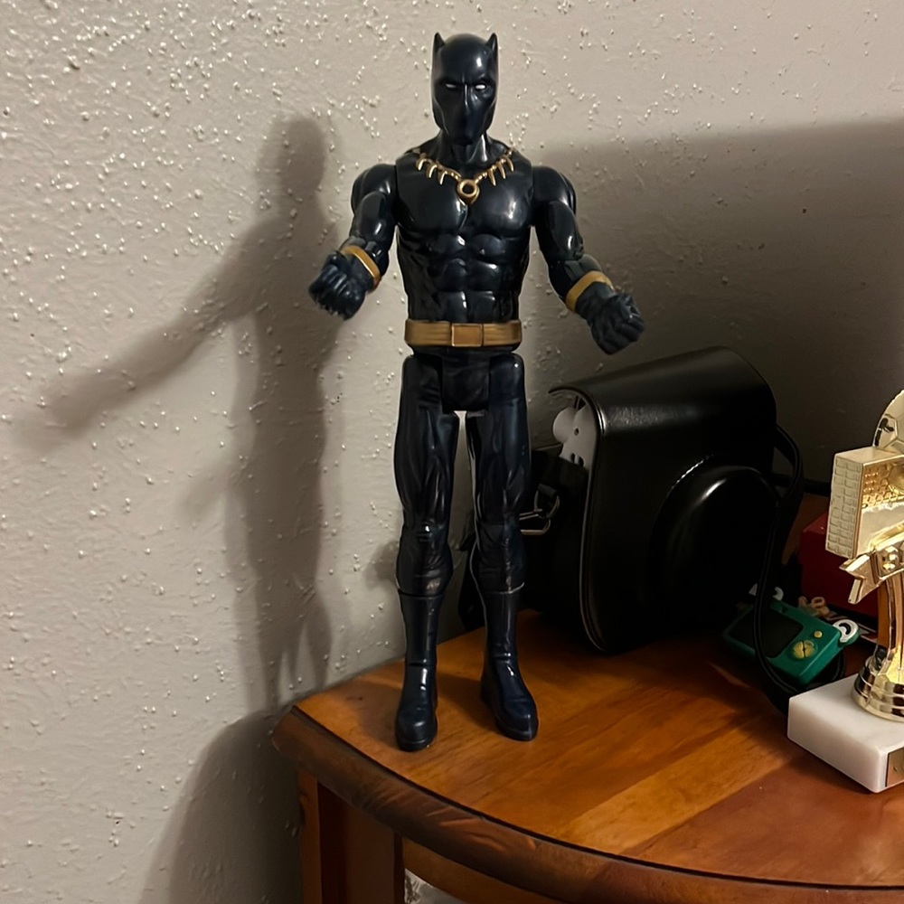 Black Panther Titan Heroes